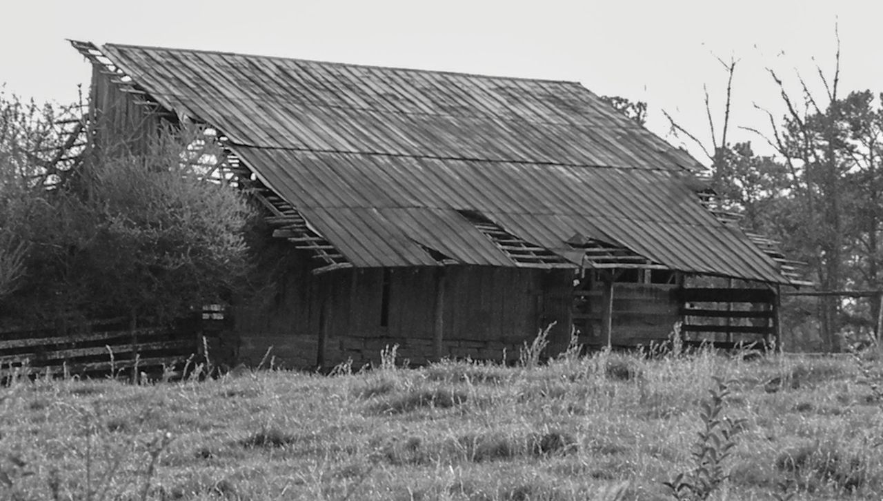 architecture, built structure, plant, shack, building exterior, rural area, barn, house, building, nature, grass, field, sky, abandoned, agricultural building, land, no people, landscape, rural scene, day, rundown, tree, black and white, old, farm, roof, damaged, agriculture, monochrome, environment, outdoors, deterioration, residential district, wood, decline, clear sky, weathered, growth, monochrome photography, history, hut, bad condition