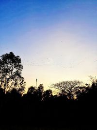 Low angle view of silhouette trees against clear sky