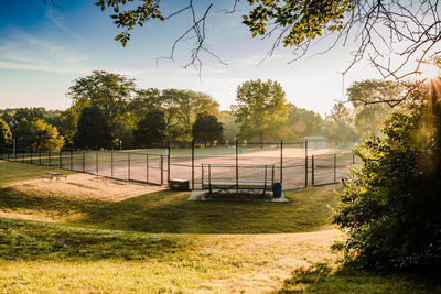 Sunrise at a baseball field in a municipal park