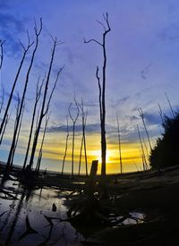 Silhouette bare trees on beach against sky during sunset