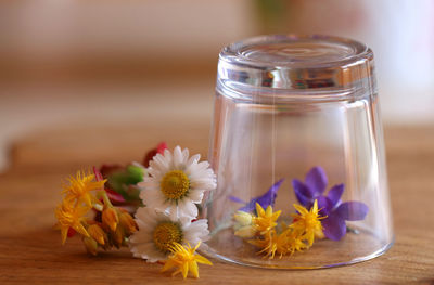 Close-up of flowers in jar on table