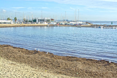 Sailboats moored at harbor against sky