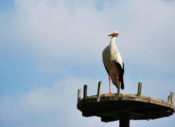 Low angle view of bird perching on wooden post against sky