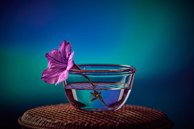 Close-up of purple flower against blue sky