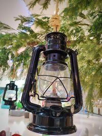Low angle view of lantern hanging on tree