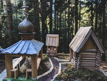 Wooden logs in forest