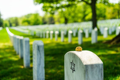 View of gravestones at cemetery