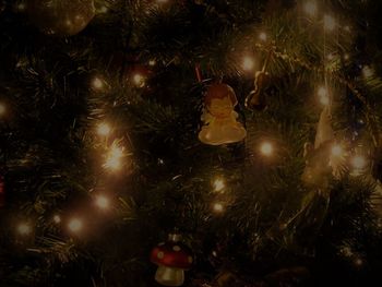 Illuminated christmas tree at night