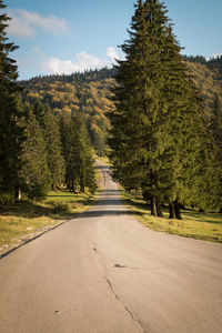 Road amidst trees against sky