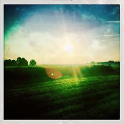 Scenic view of grassy field against sky