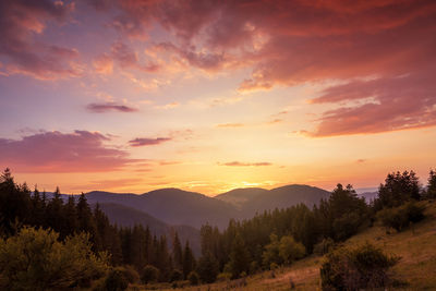 Beautiful sunset mountains at summer.