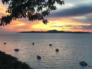 Scenic view of sea against orange sky