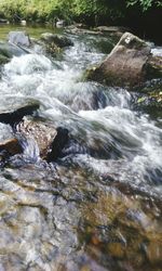 Scenic view of waterfall