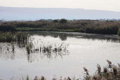 Scenic view of lake against sky