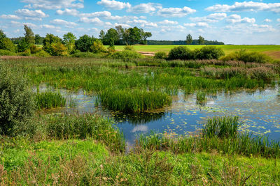 Scenic view of lake against sky