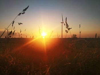 Silhouette plants on field against sky during sunset