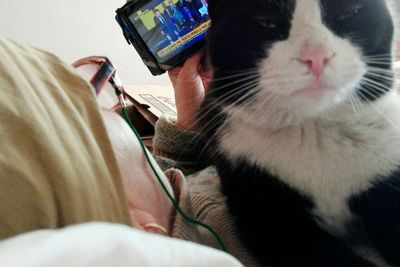 Close-up of man holding cat at home