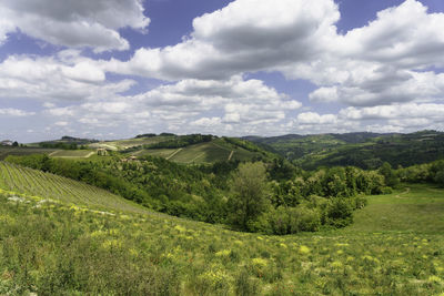 Scenic view of landscape against sky