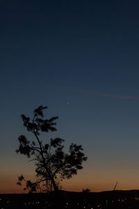 Silhouette tree against sky at night