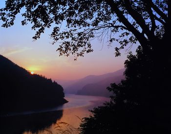 Scenic view of silhouette tree against sky at sunset