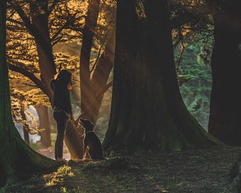 Woman with dog standing by trees in forest