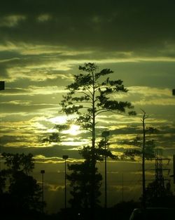 Low angle view of silhouette trees against sky at sunset