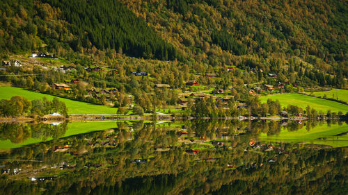 Scenic view of rural landscape