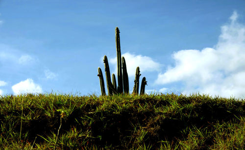 Low angle view of field against cloudy sky