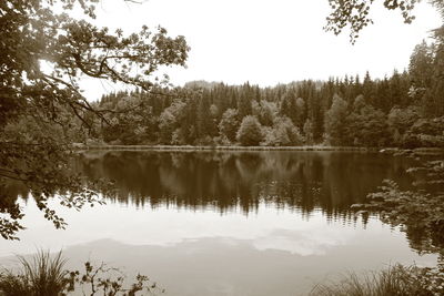 Scenic view of lake by trees against sky