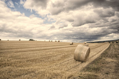 Scenic view of agricultural landscape against sky