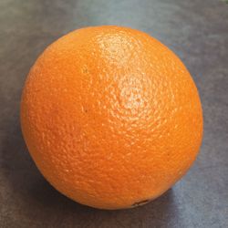 Close-up of orange