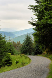 Road amidst trees against sky