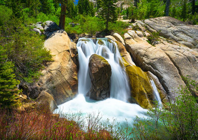 Scenic view of waterfall in forest