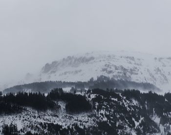 Scenic view of forest against sky during winter