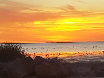 Scenic view of beach against sky during sunset