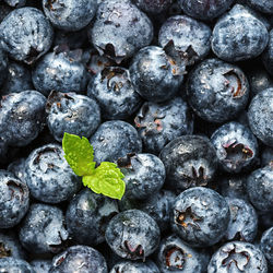 Full frame shot of blueberries