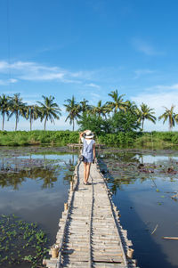 Rear view of woman standing on pier by pond