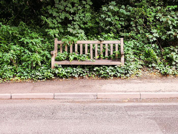 Empty bench on road by trees