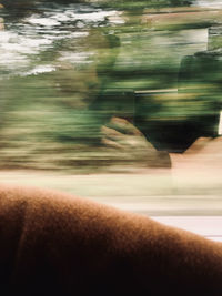 Blurred motion of person seen through car window