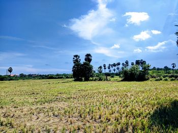 Scenic view of field against sky