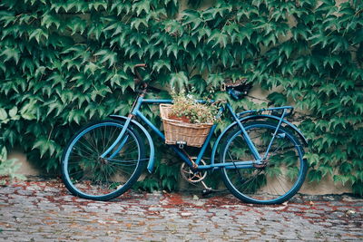 Bicycle parked against plants