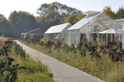 Footpath amidst trees and buildings against sky