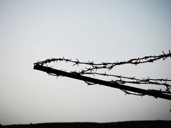 Low angle view of silhouette barbed wire against clear sky