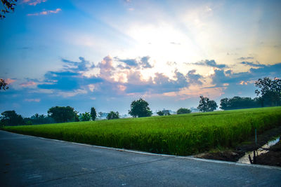 Scenic view of field against sky during sunset