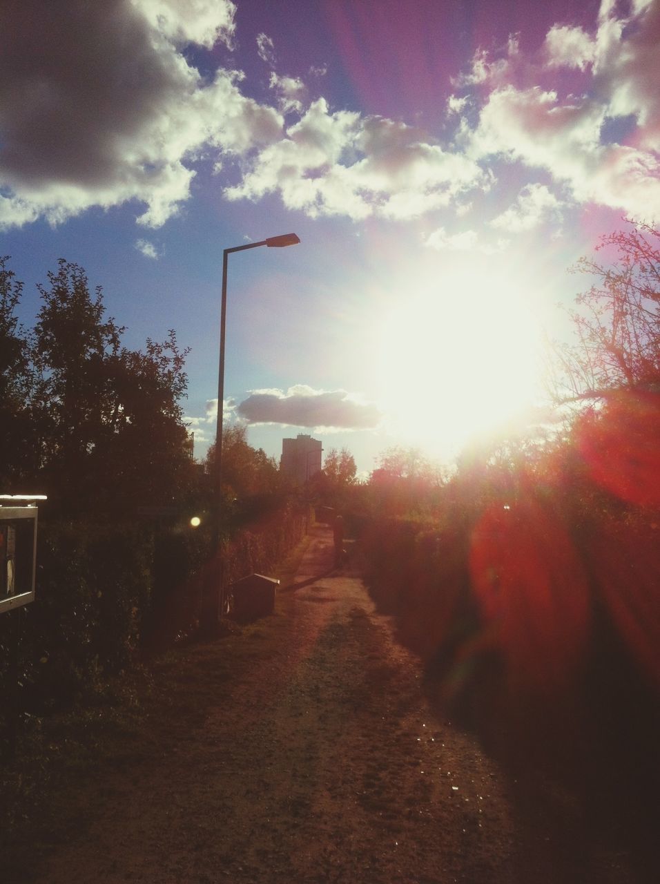 sky, sun, tree, sunlight, transportation, sunbeam, the way forward, cloud - sky, lens flare, road, street, cloud, building exterior, built structure, nature, sunset, diminishing perspective, architecture, car, land vehicle