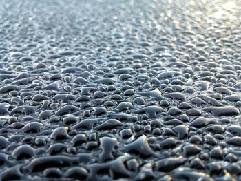 Surface level of water drops