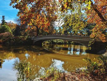 Central park ny