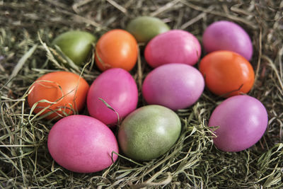 Colored chicken eggs painted with natural food dyes on dry grass. easter holiday concept