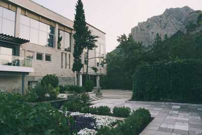 plant