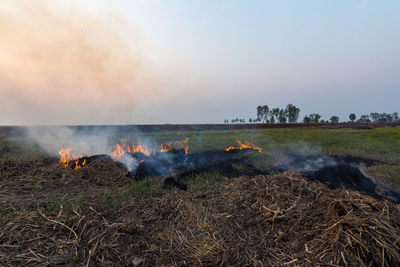 Scenic view of farm against sky